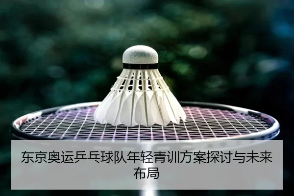 东京奥运乒乓球队年轻青训方案探讨与未来布局